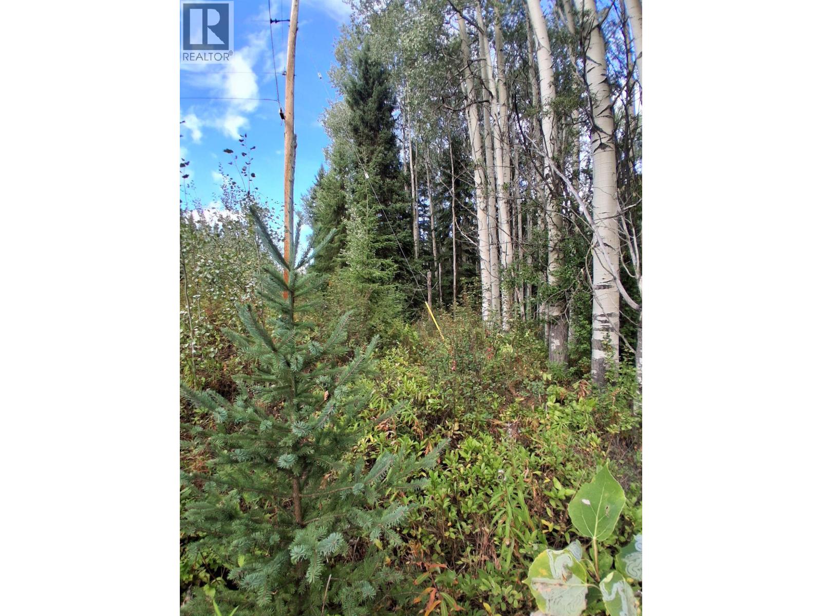 23336 Howells Road Property Photo 10