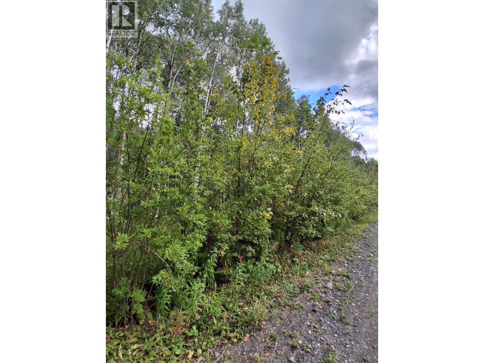 23336 Howells Road Property Photo 12