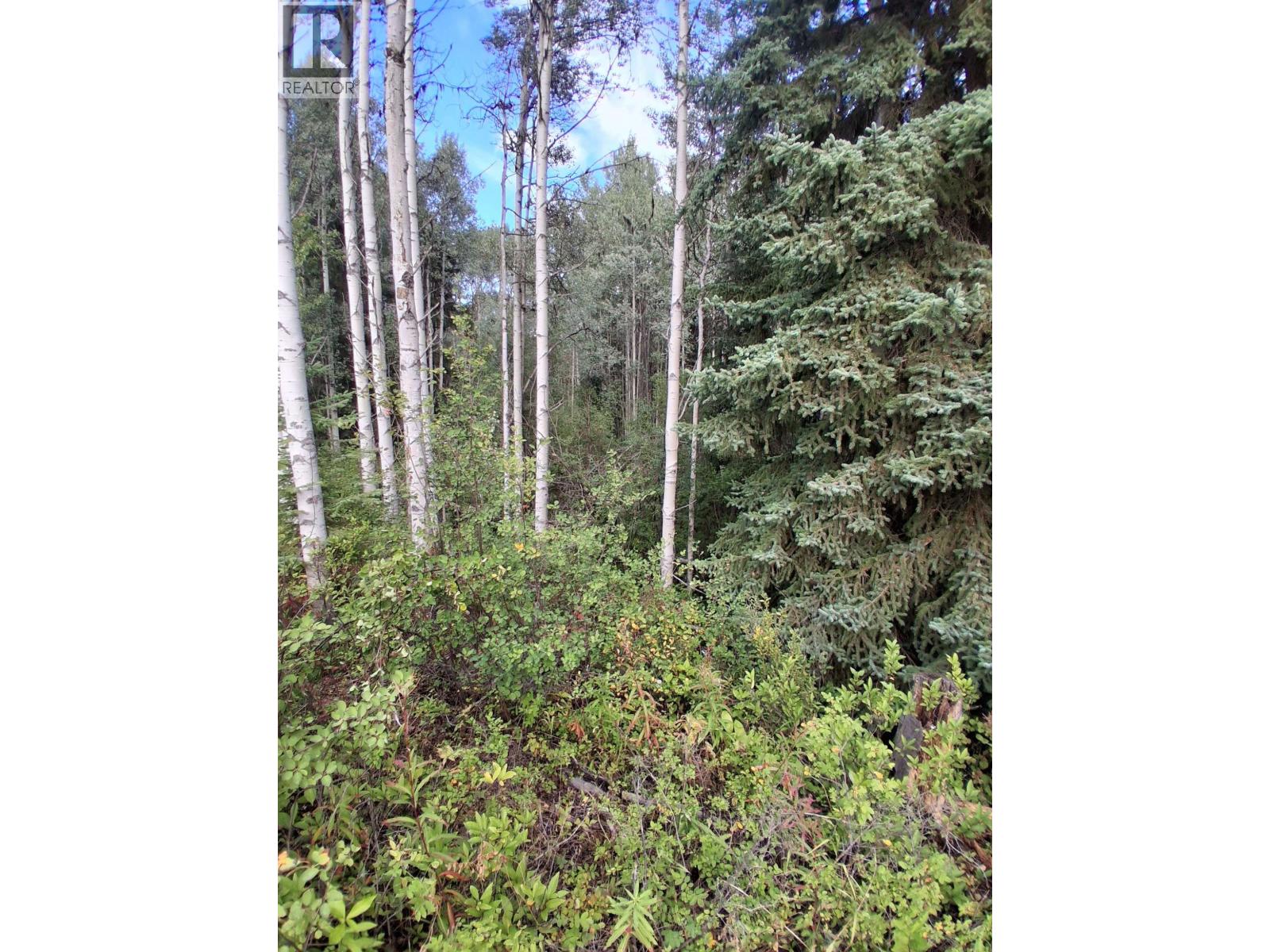 23336 Howells Road Property Photo 13