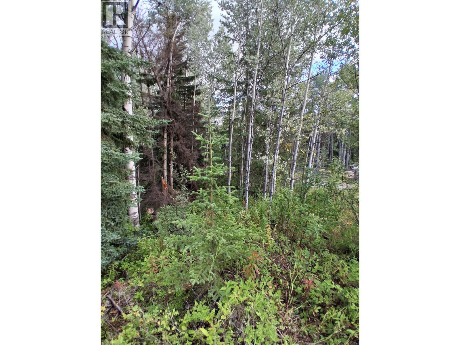 23336 Howells Road Property Photo 14