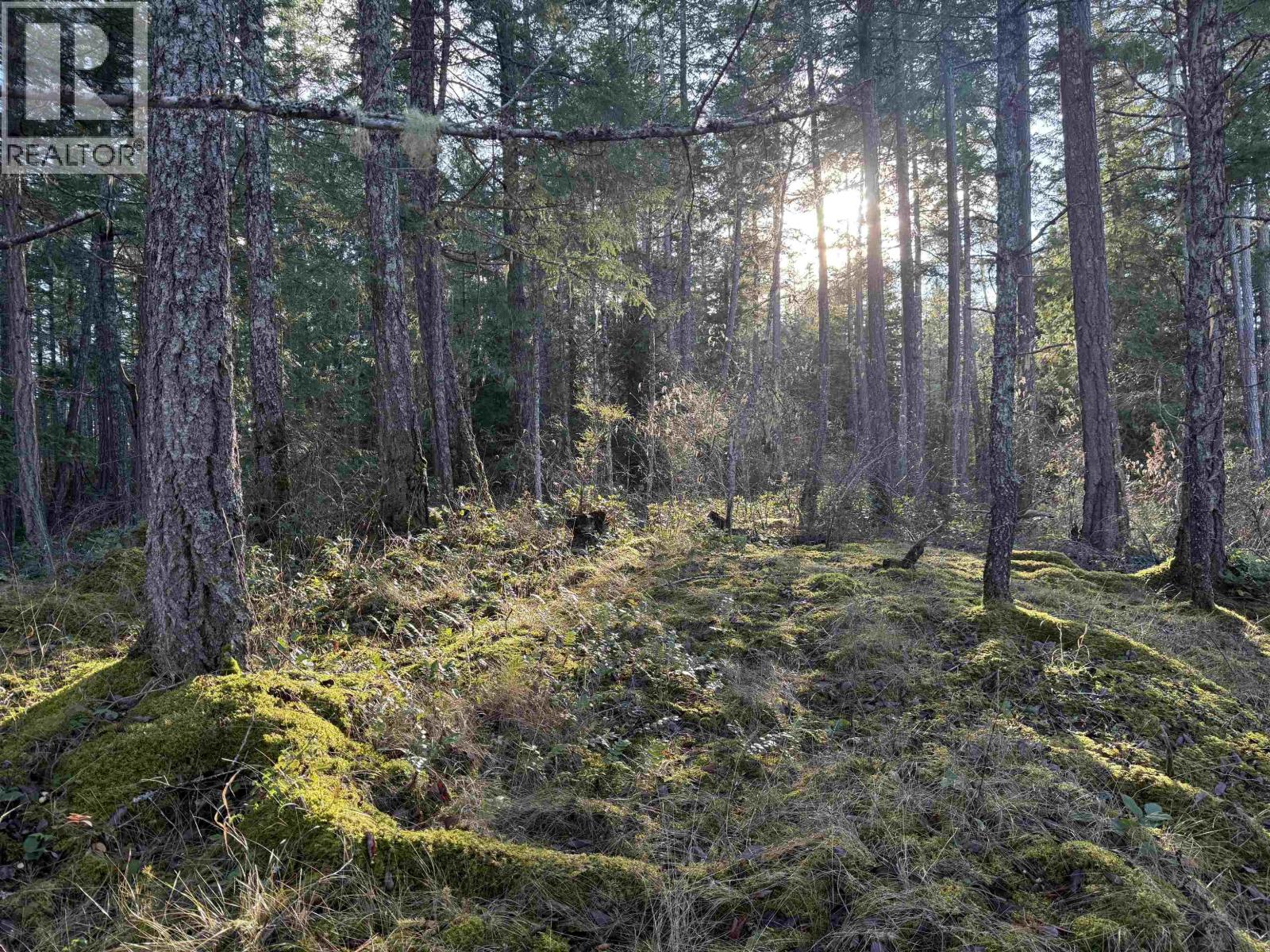 Lot B Francis Peninsula Road Property Photo 10