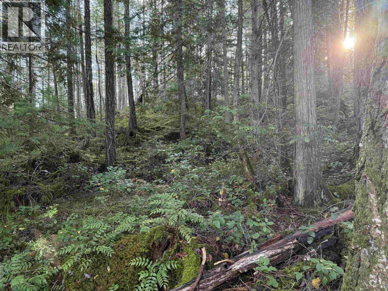 Lot B Francis Peninsula Road Property Photo 18