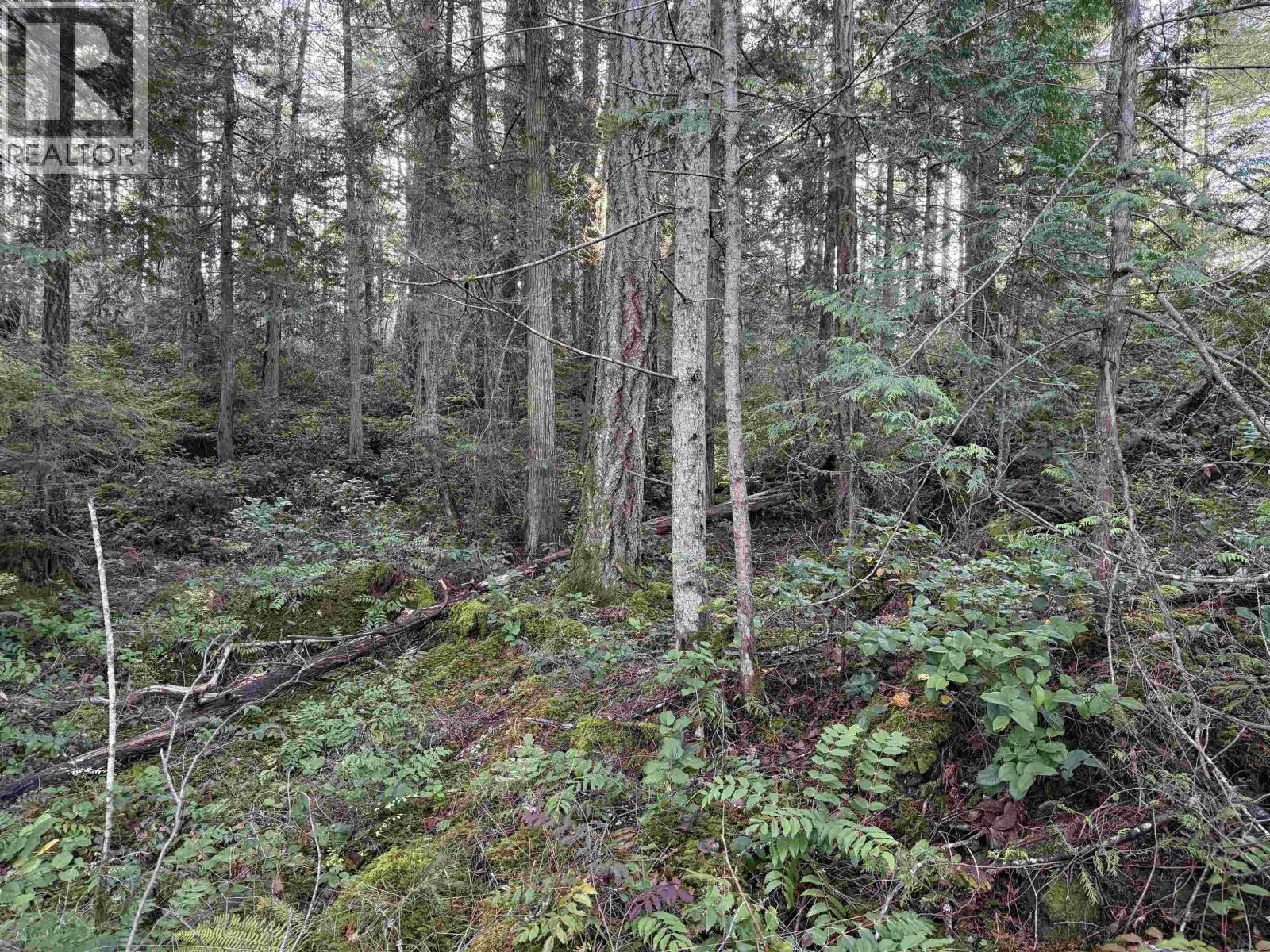 Lot B Francis Peninsula Road Property Photo 19