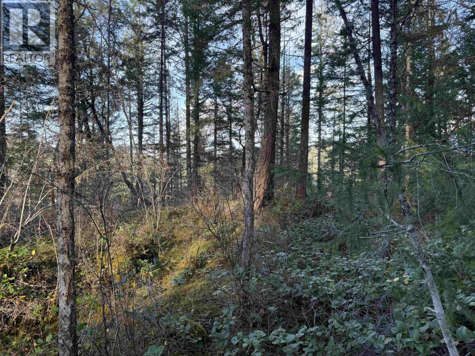 Lot B Francis Peninsula Road Property Photo 21