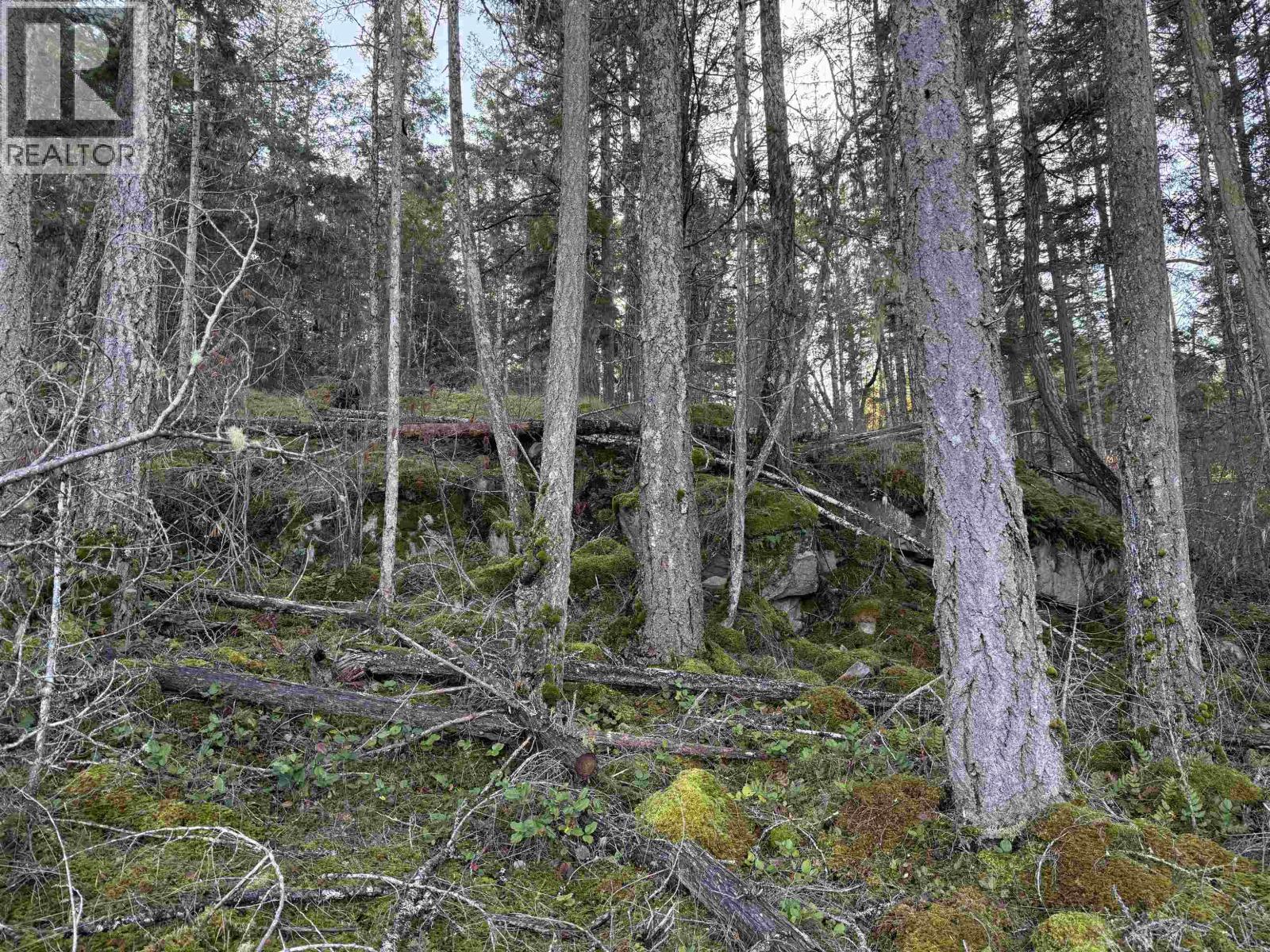 Lot B Francis Peninsula Road Property Photo 22