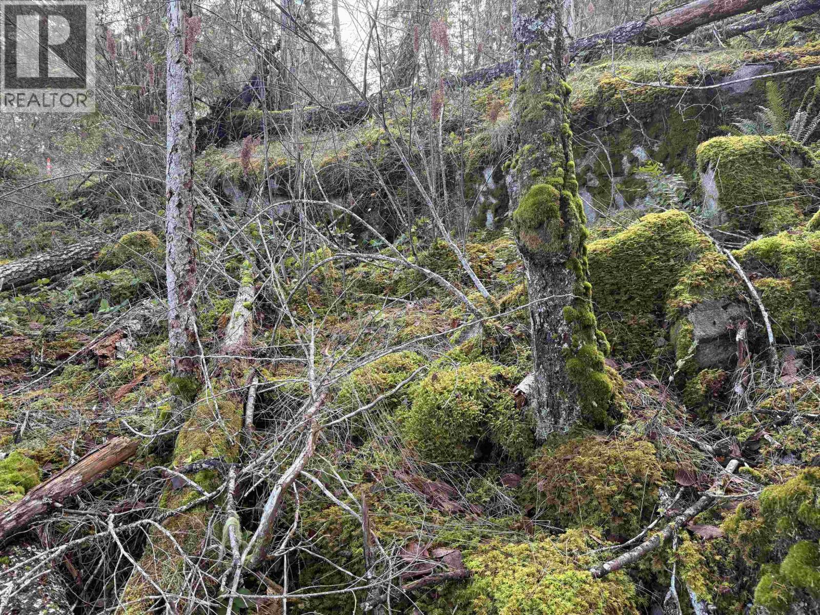 Lot B Francis Peninsula Road Property Photo 23