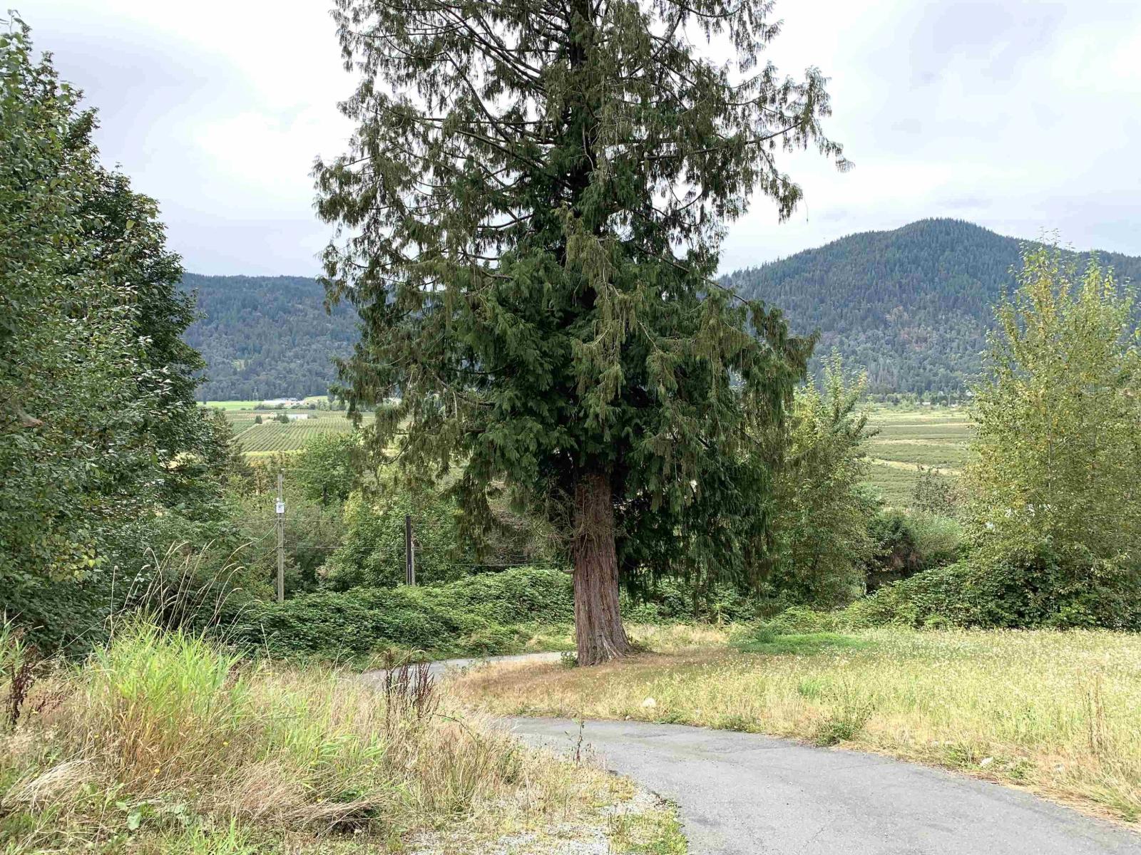 10710 Sylvester Road Property Photo 8