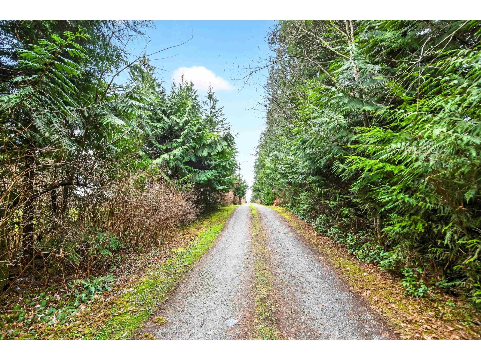 29907 Dewdney Trunk Road Property Photo 5