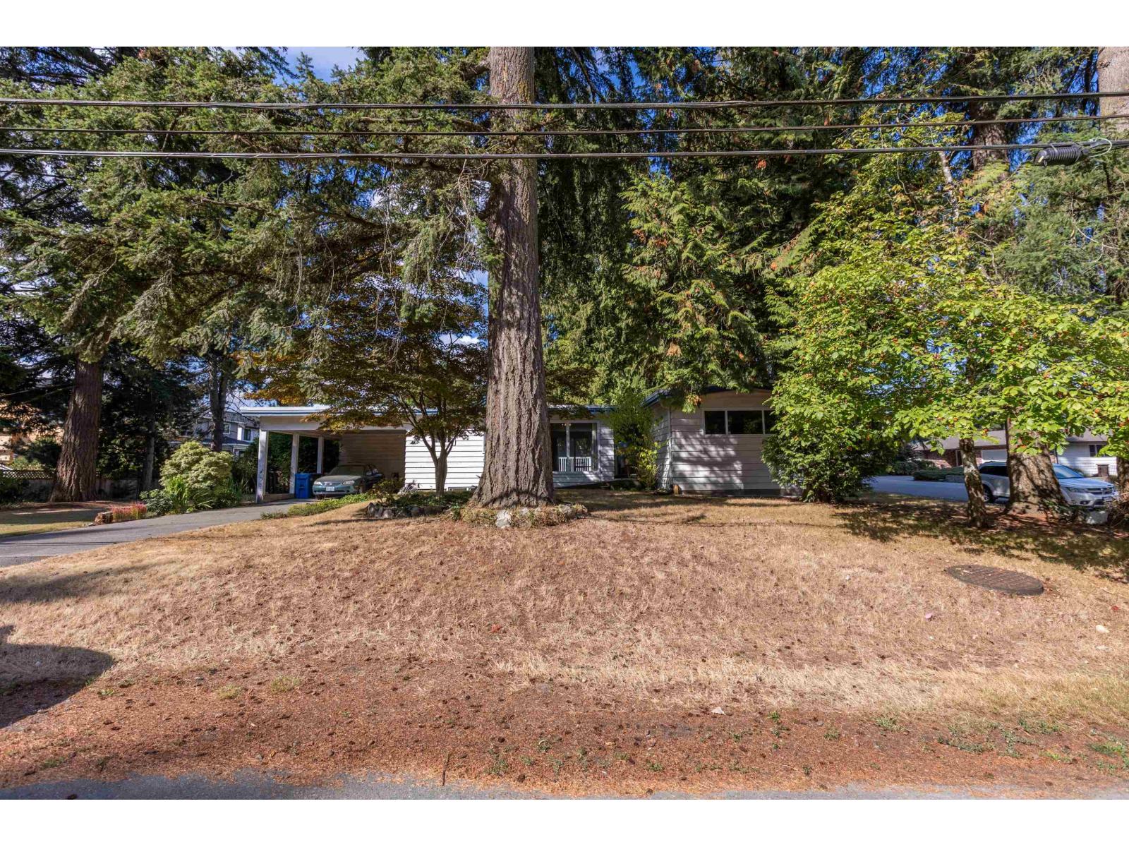 2745 Ash Street Property Photo 5