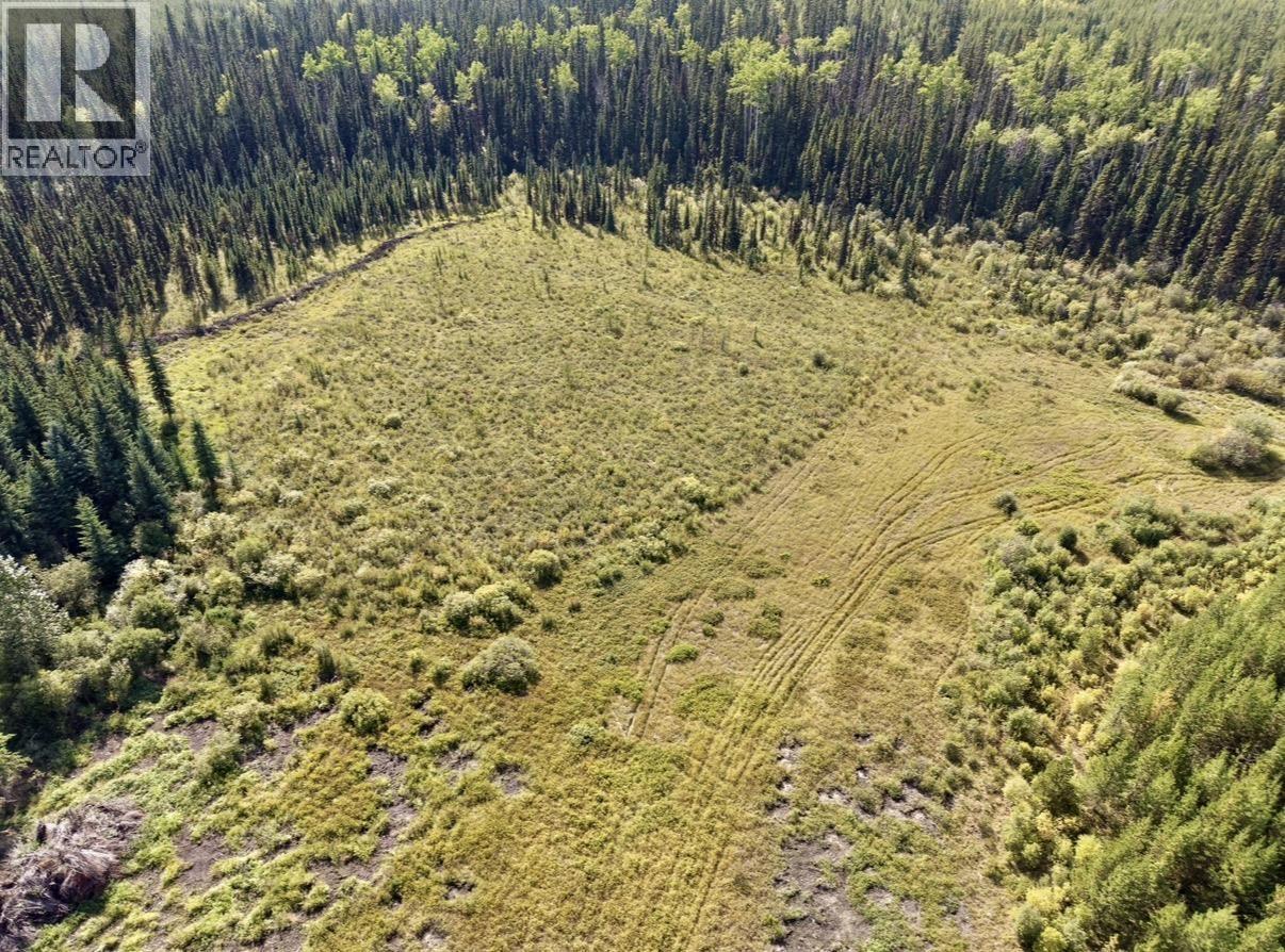 2935 Miles Creek Forest Service Road Property Photo 6