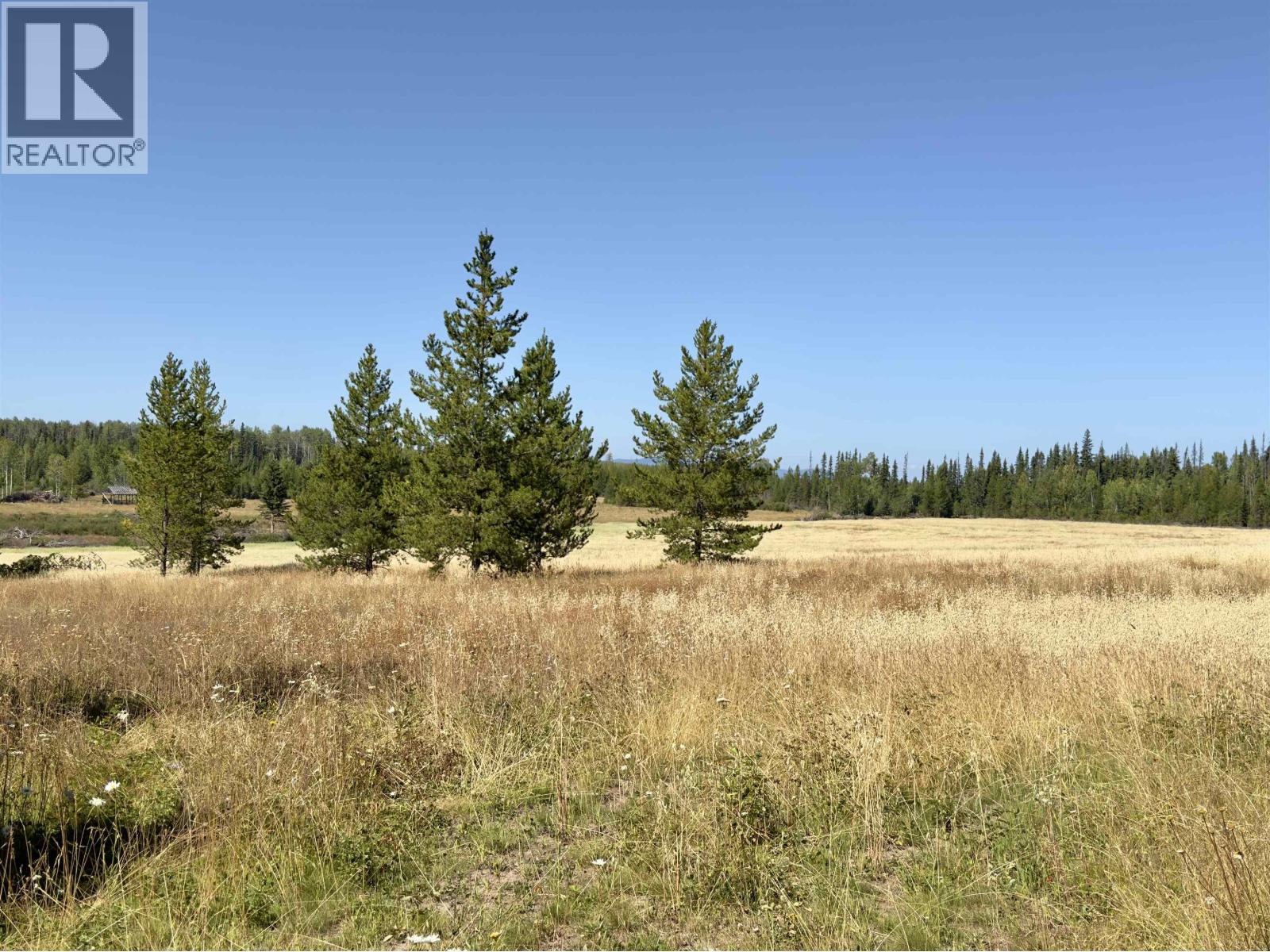 2935 Miles Creek Forest Service Road Property Photo 21