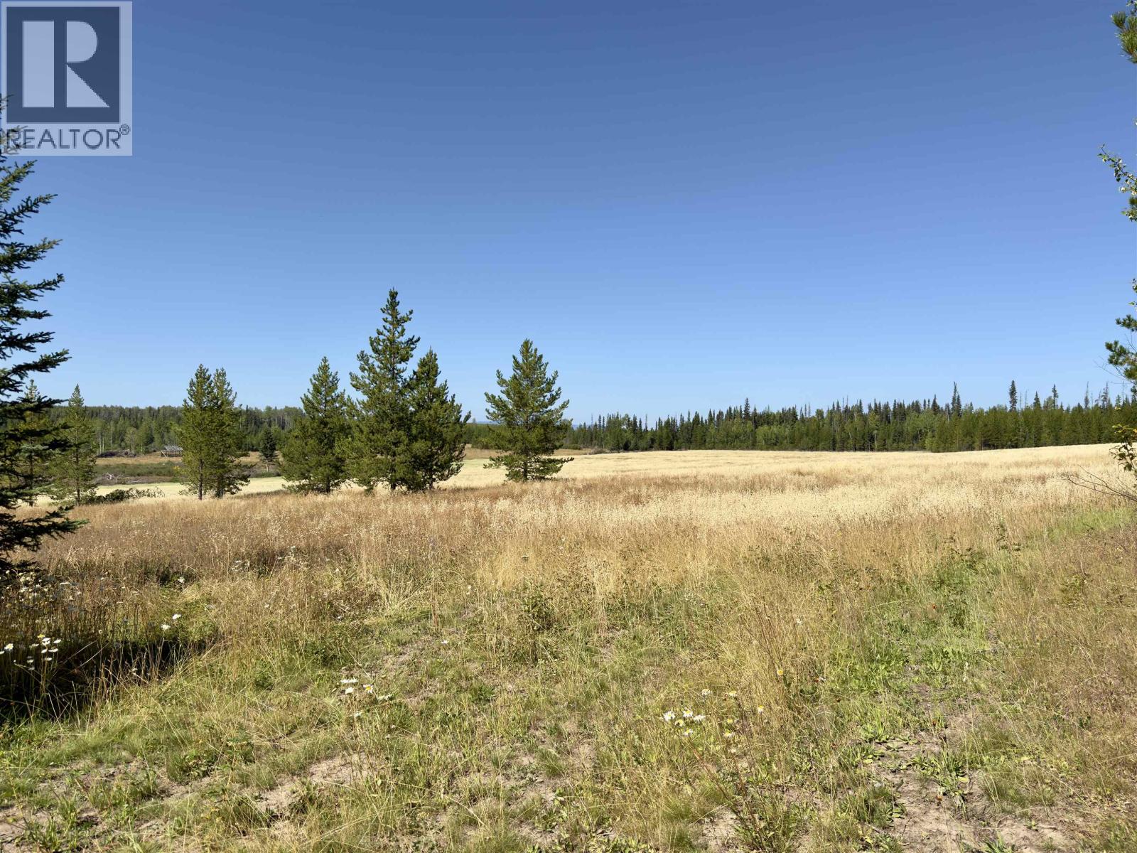 2935 Miles Creek Forest Service Road Property Photo 23