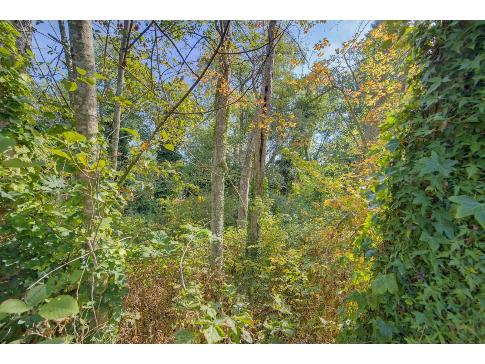 23 2270 196 Street Property Photo 31