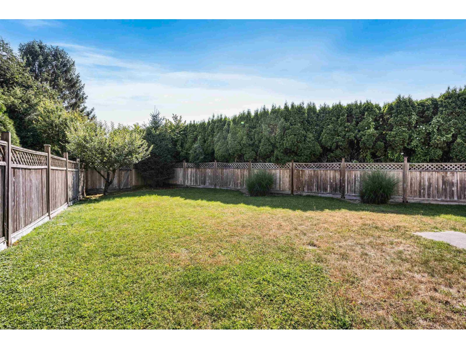 10113 Williams Road #6 Property Photo 31