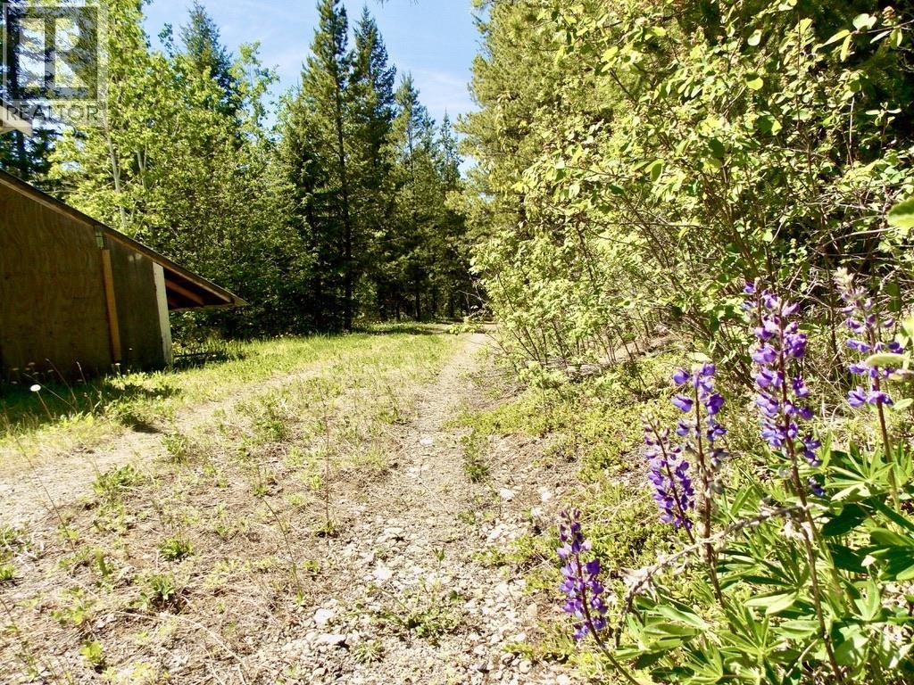 Lot A Starlike Lake Road Property Photo 30