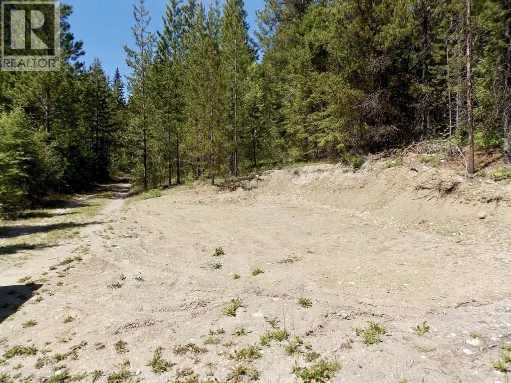 Lot A Starlike Lake Road Property Photo 38