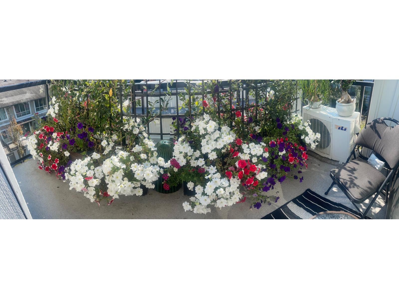401 6688 120 Street Property Photo 30