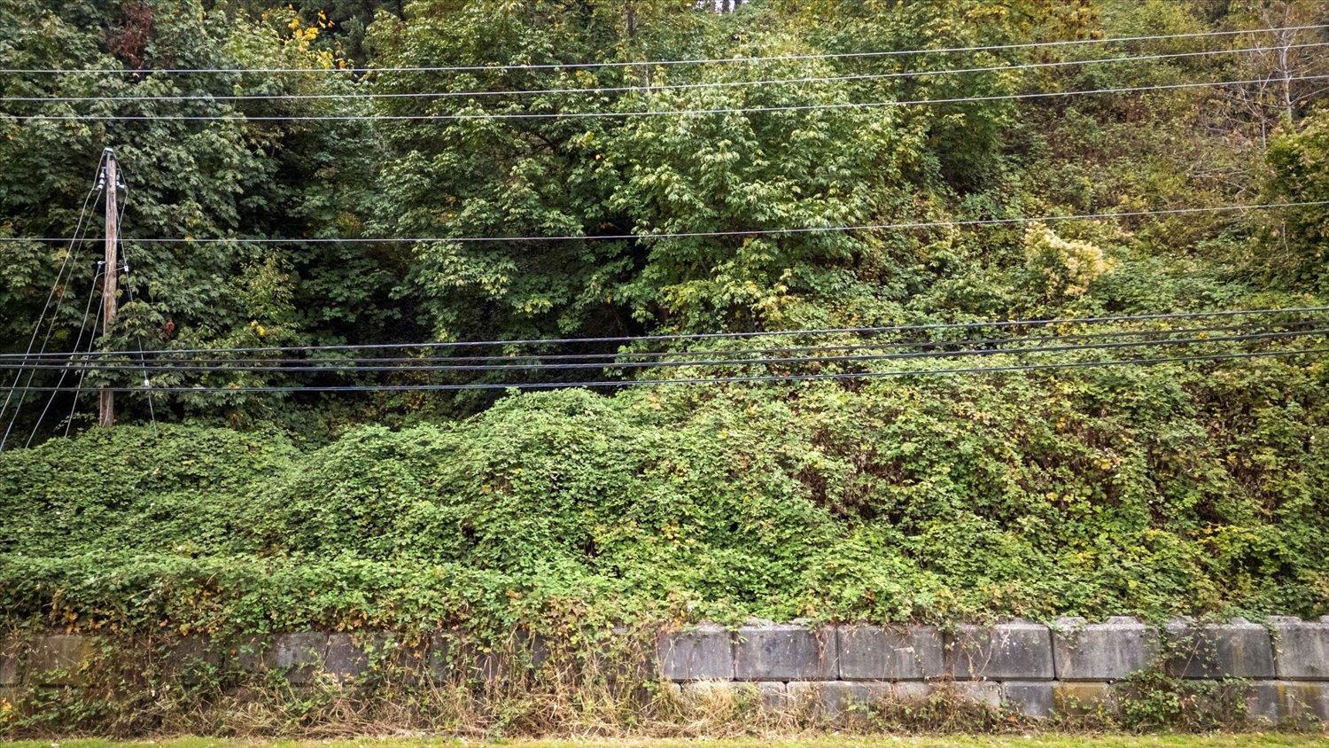 47165 Yale Road Property Photo 17