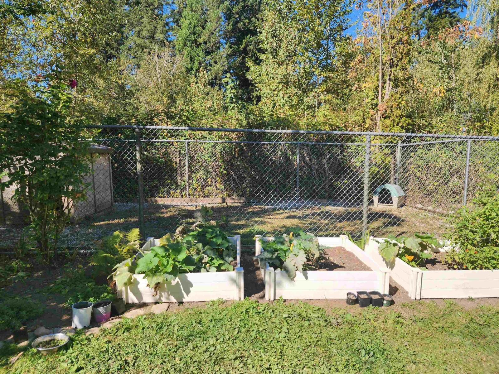 22931 Old Yale Road Property Photo 13