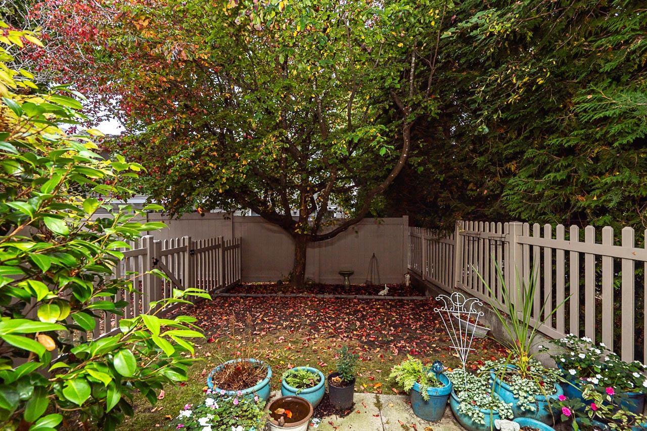 14 8775 161 Street Property Photo 29