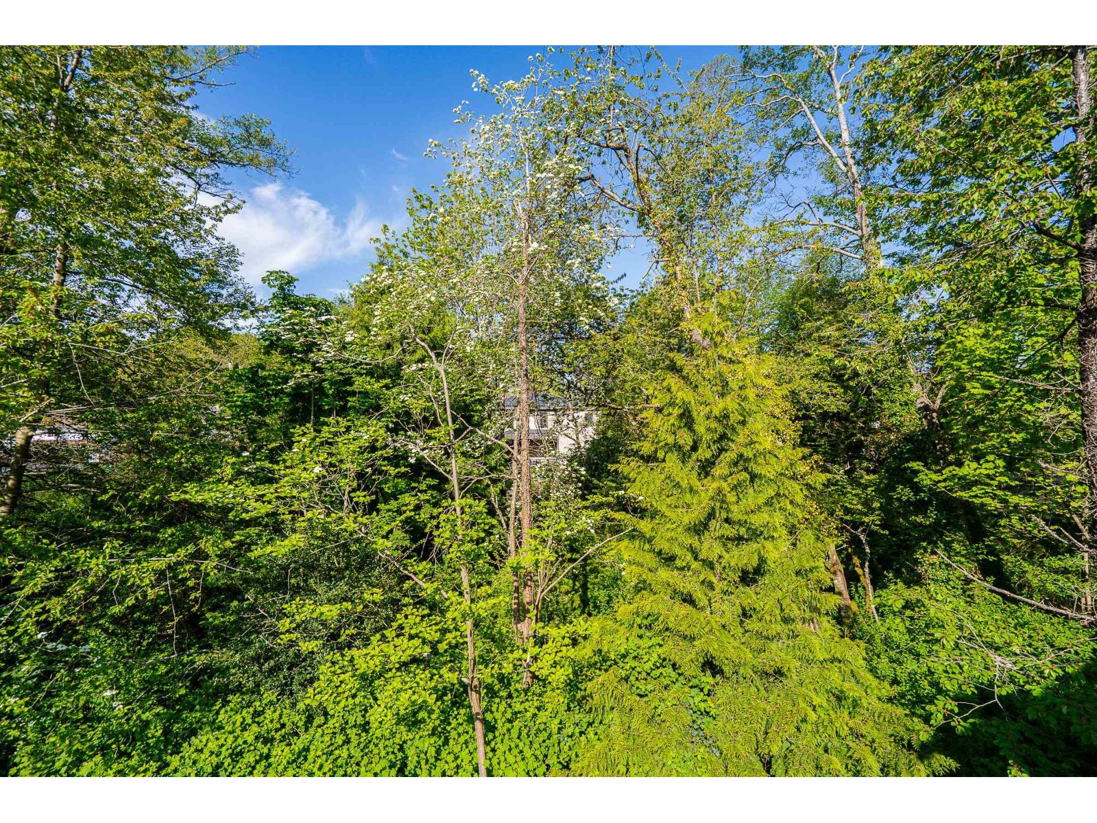 16908 1 Avenue Property Photo 22