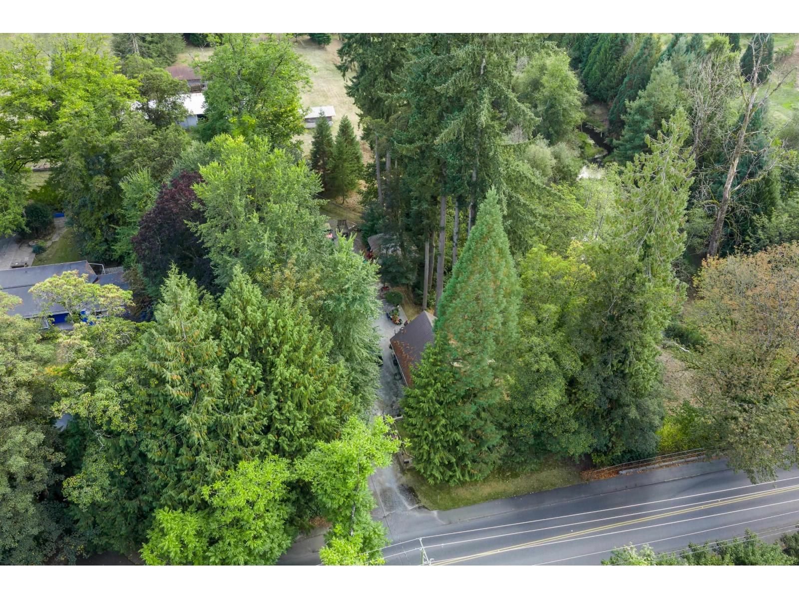 21180 48 Avenue Property Photo 4