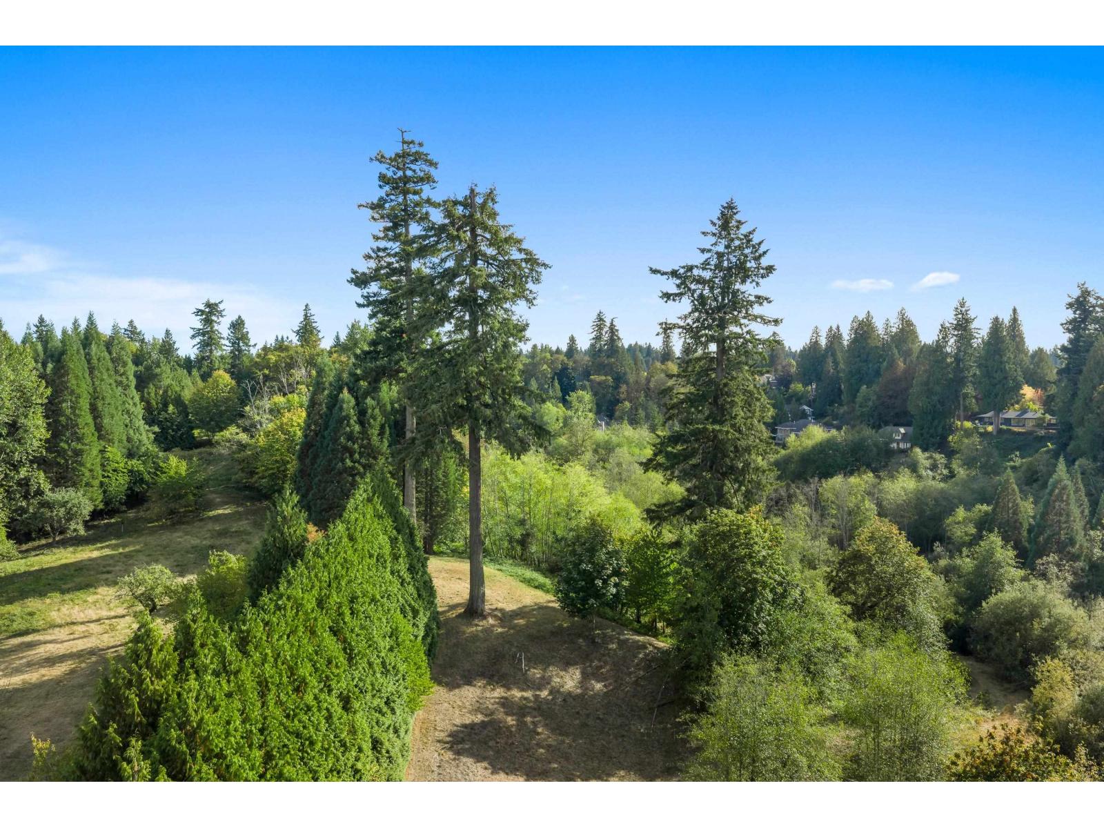21180 48 Avenue Property Photo 22