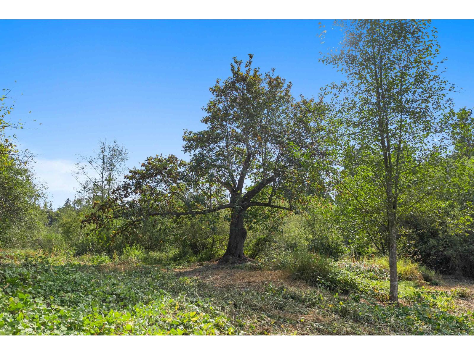 21180 48 Avenue Property Photo 24