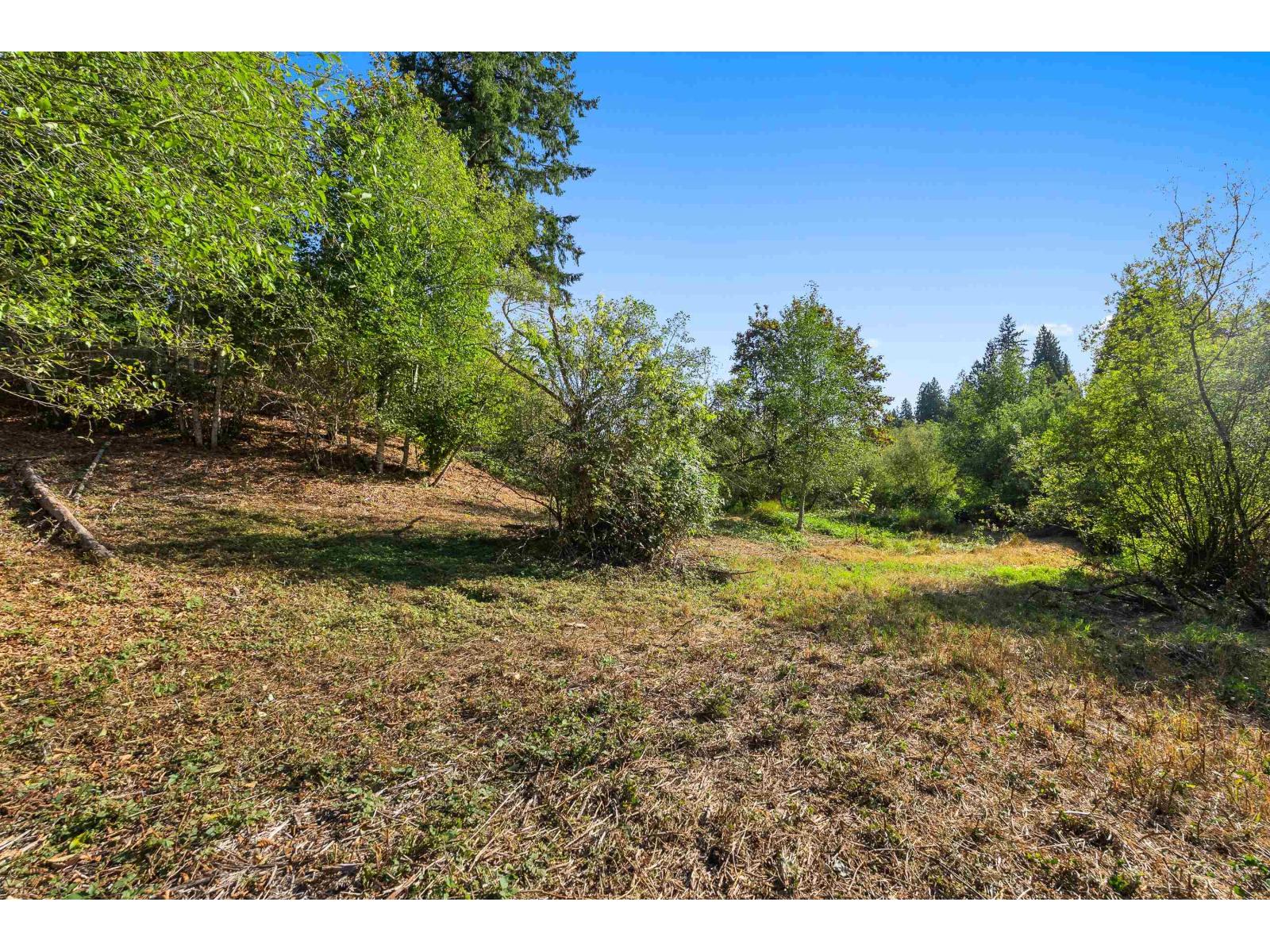 21180 48 Avenue Property Photo 34