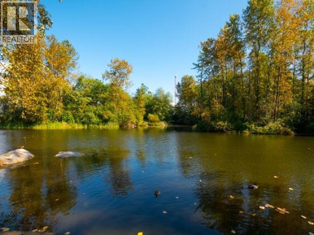 550 Cassiar Street Property Photo 33