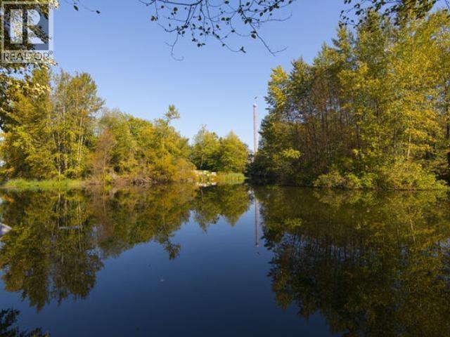 550 Cassiar Street Property Photo 34