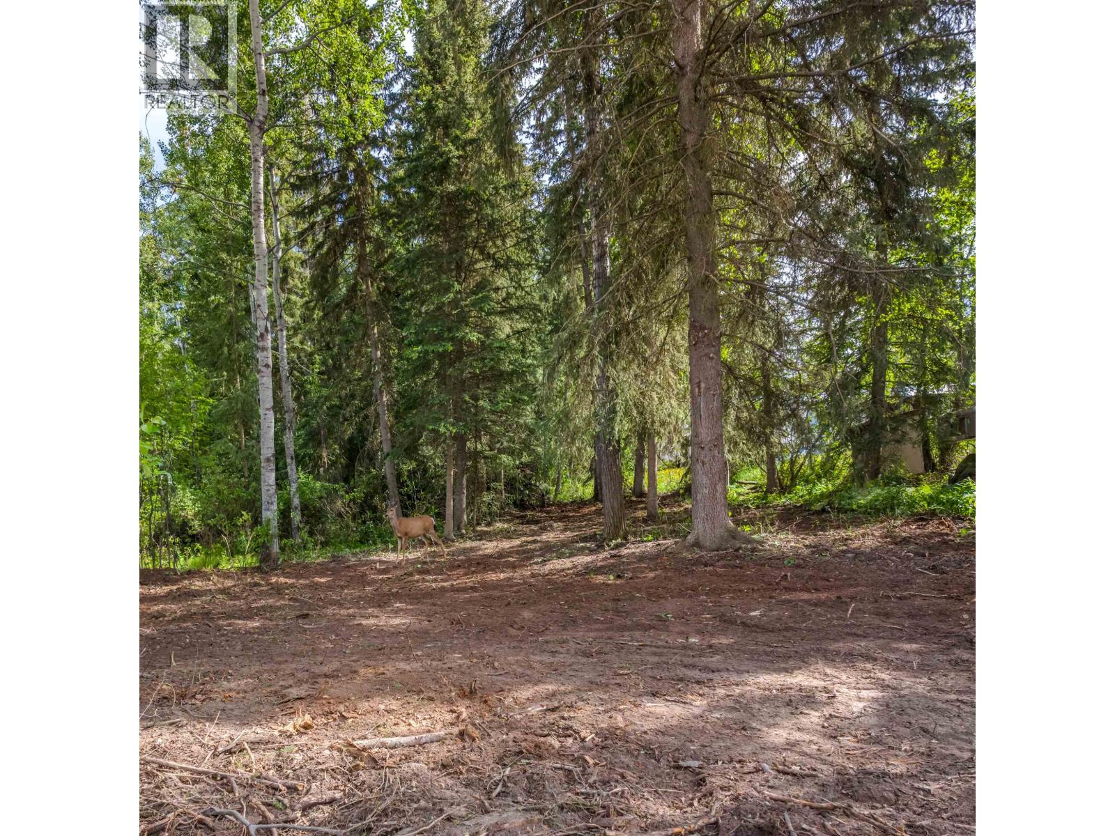 Lot 81 Mulligan Drive Property Photo 2