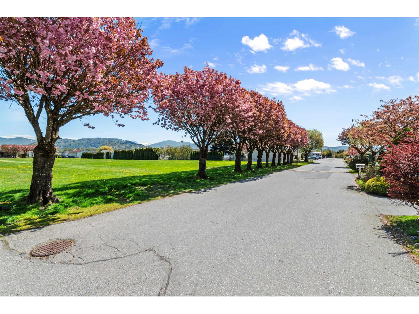 13 41168 Lougheed Highway Property Photo 38