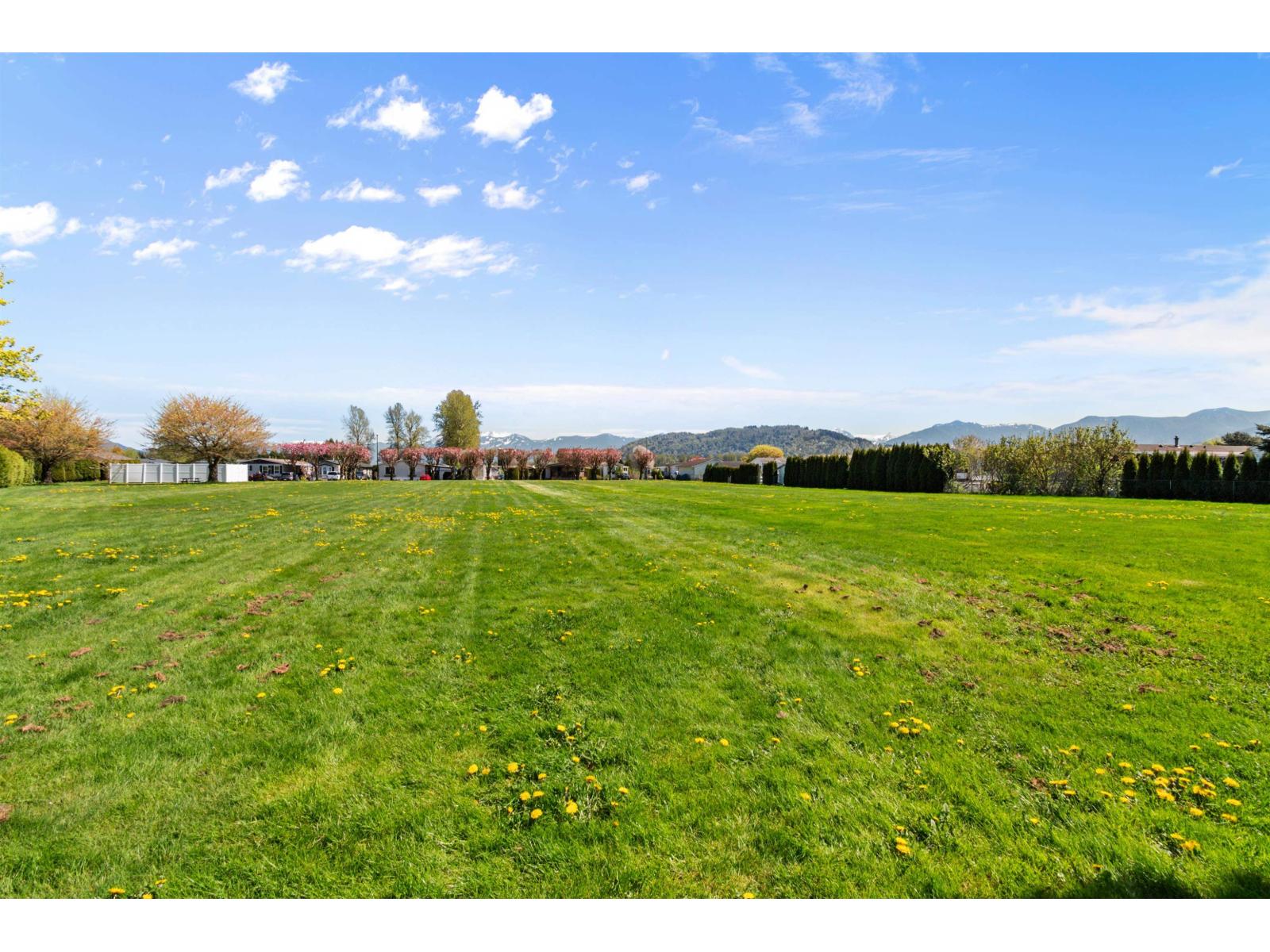 13 41168 Lougheed Highway Property Photo 39