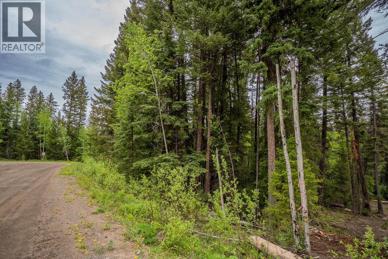 Lot 88 Julsrud Road Property Photo 4
