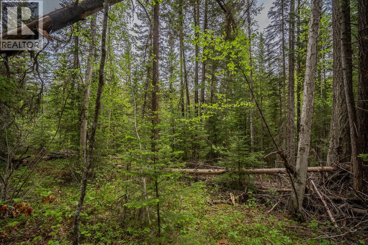 Lot 88 Julsrud Road Property Photo 6