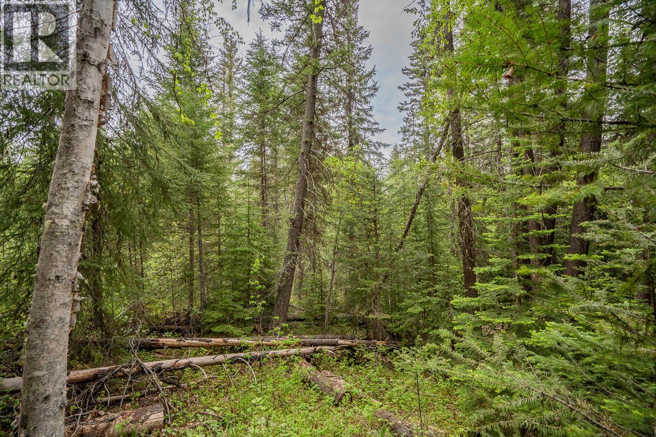 Lot 88 Julsrud Road Property Photo 7