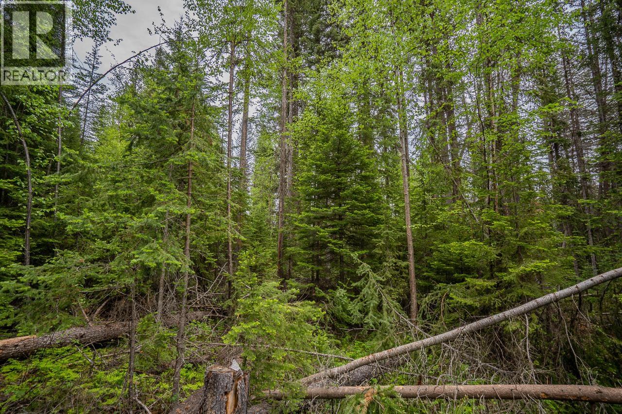 Lot 88 Julsrud Road Property Photo 10