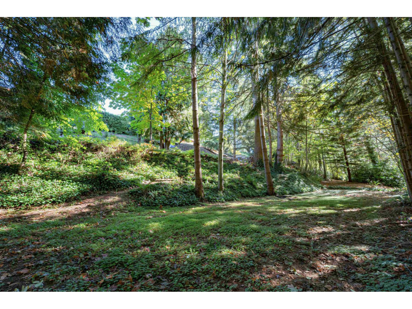 7801 Wiltshire Boulevard Property Photo 38