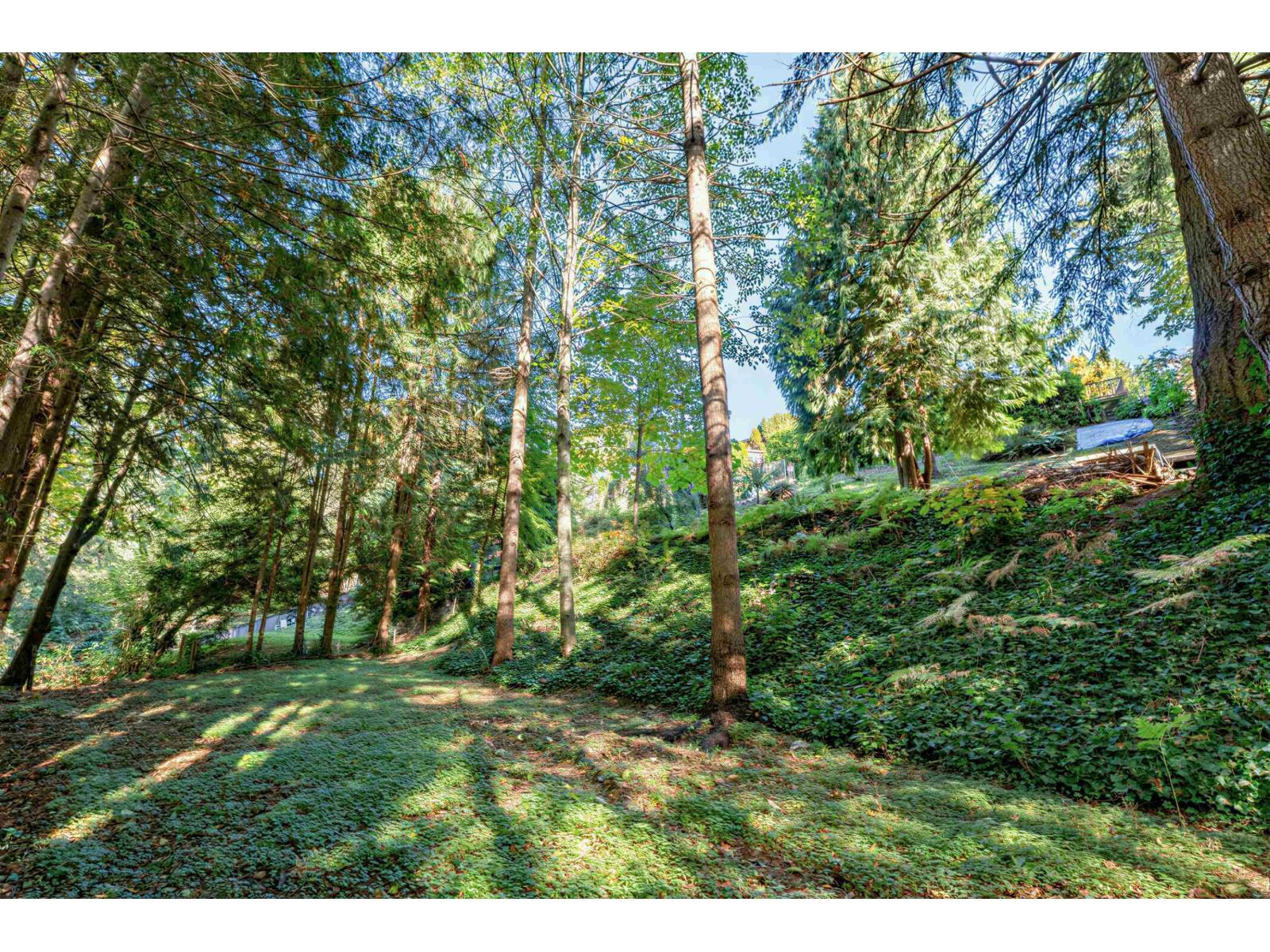 7801 Wiltshire Boulevard Property Photo 39