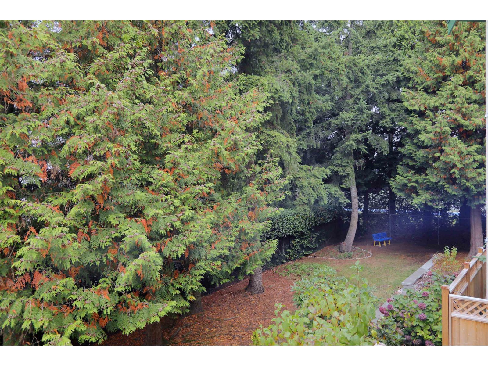 206 12633 72 Avenue Property Photo 25