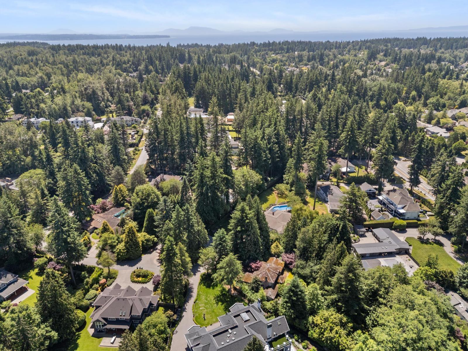 14069 26a Avenue Property Photo 12
