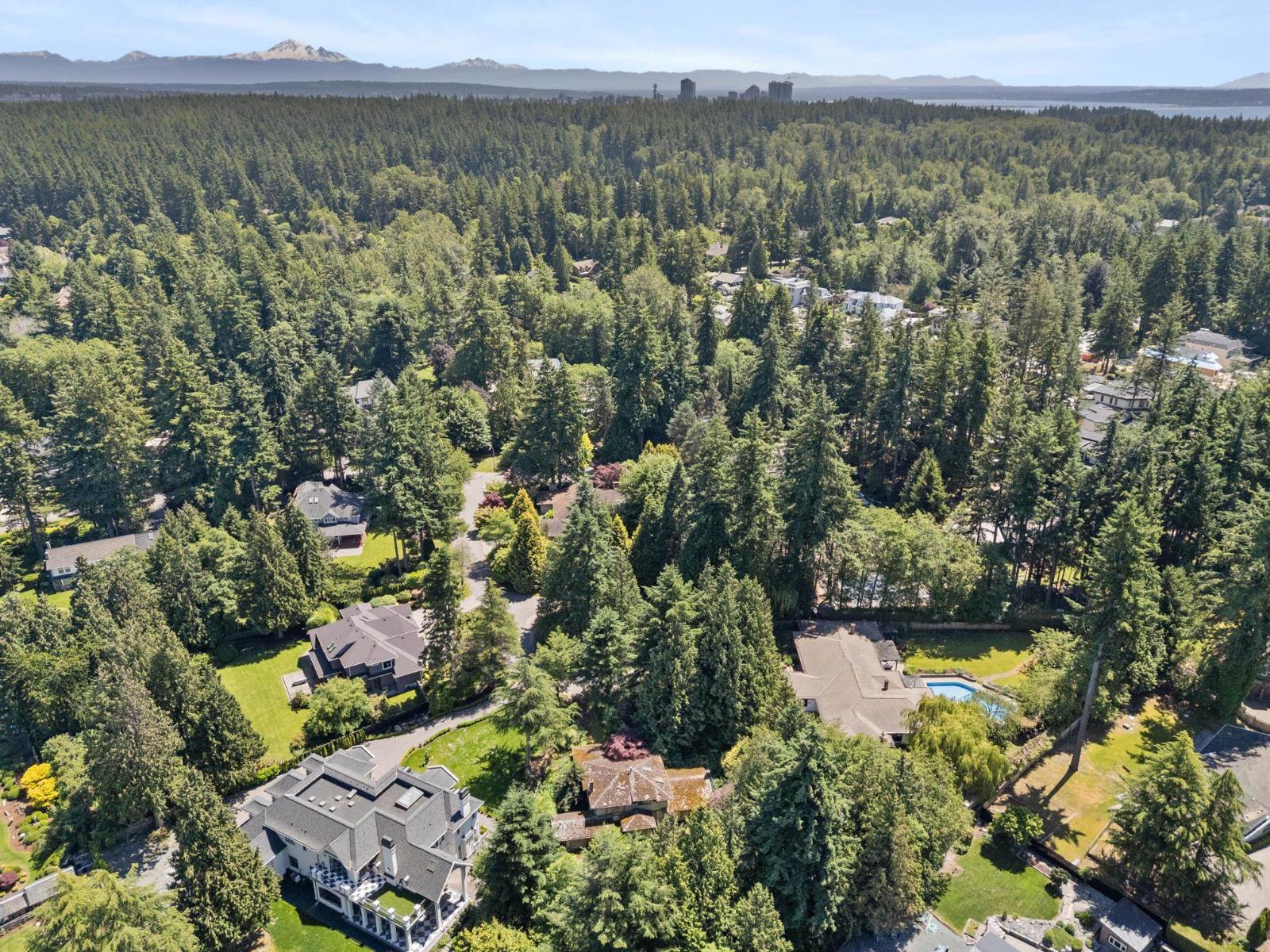 14069 26a Avenue Property Photo 13