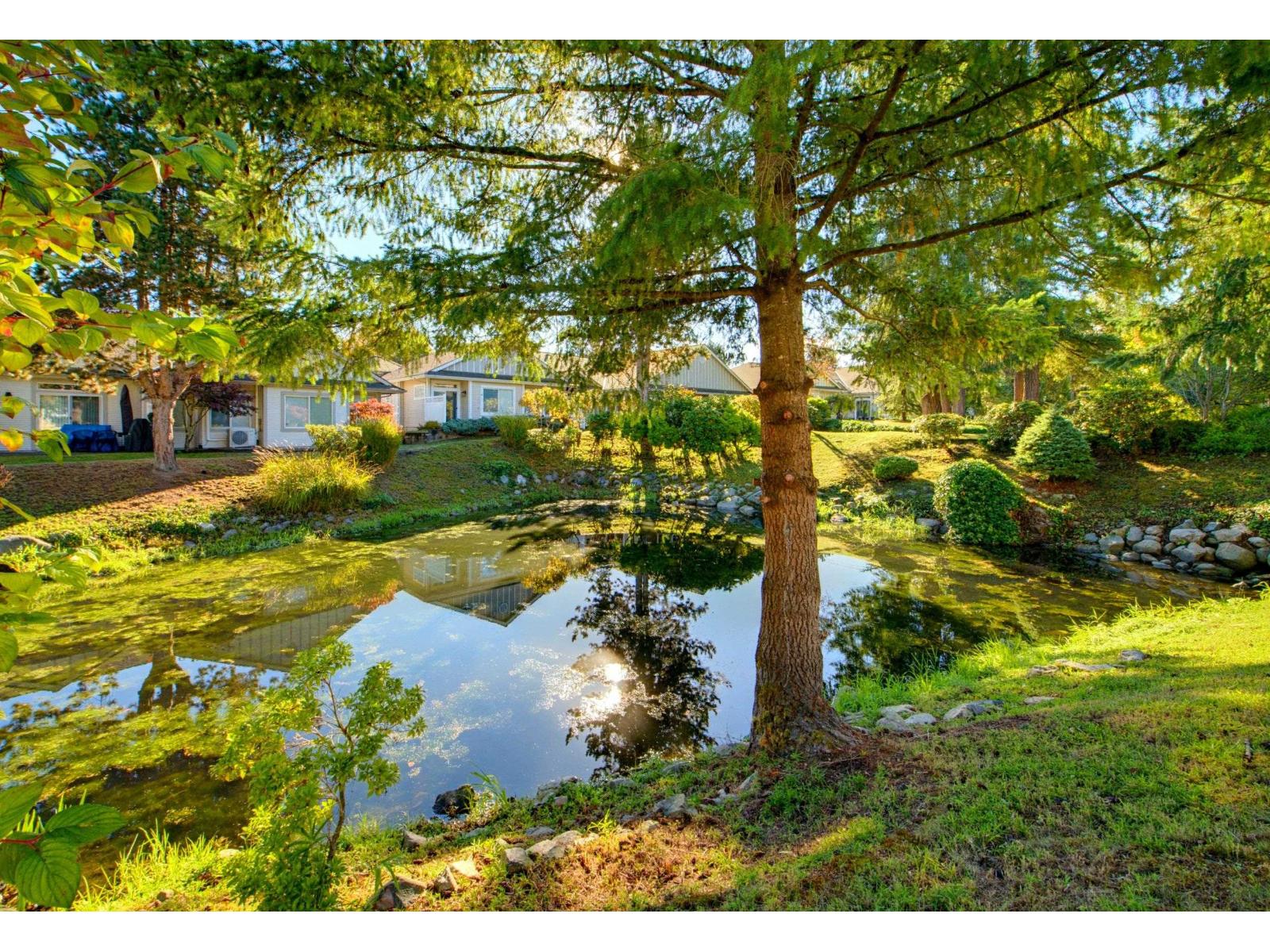 215 20655 88 Avenue Property Photo 32