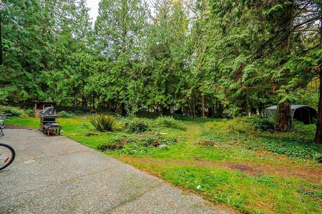 13127 28 Avenue Property Photo 10