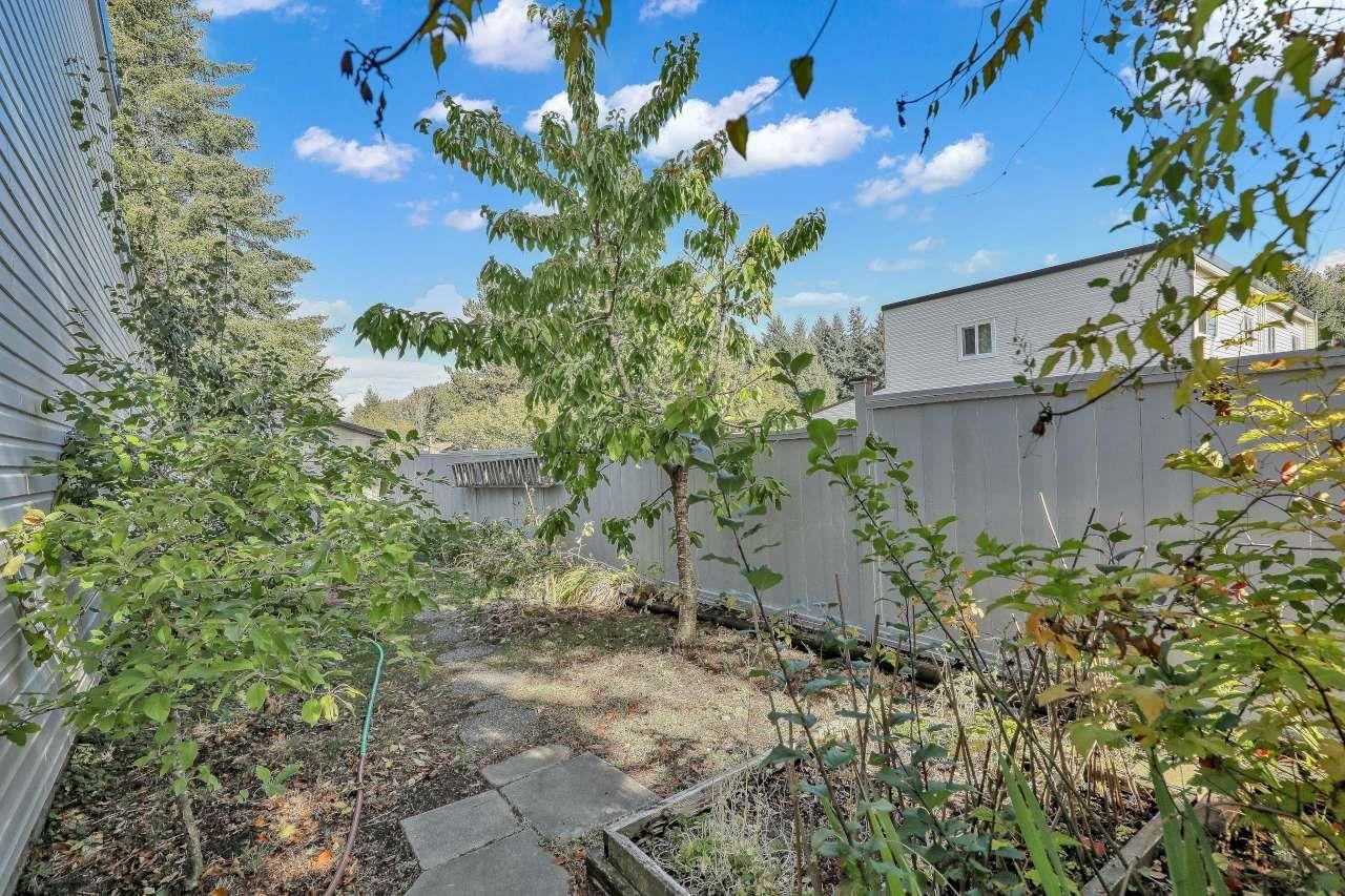 43 8555 King George Boulevard Property Photo 9