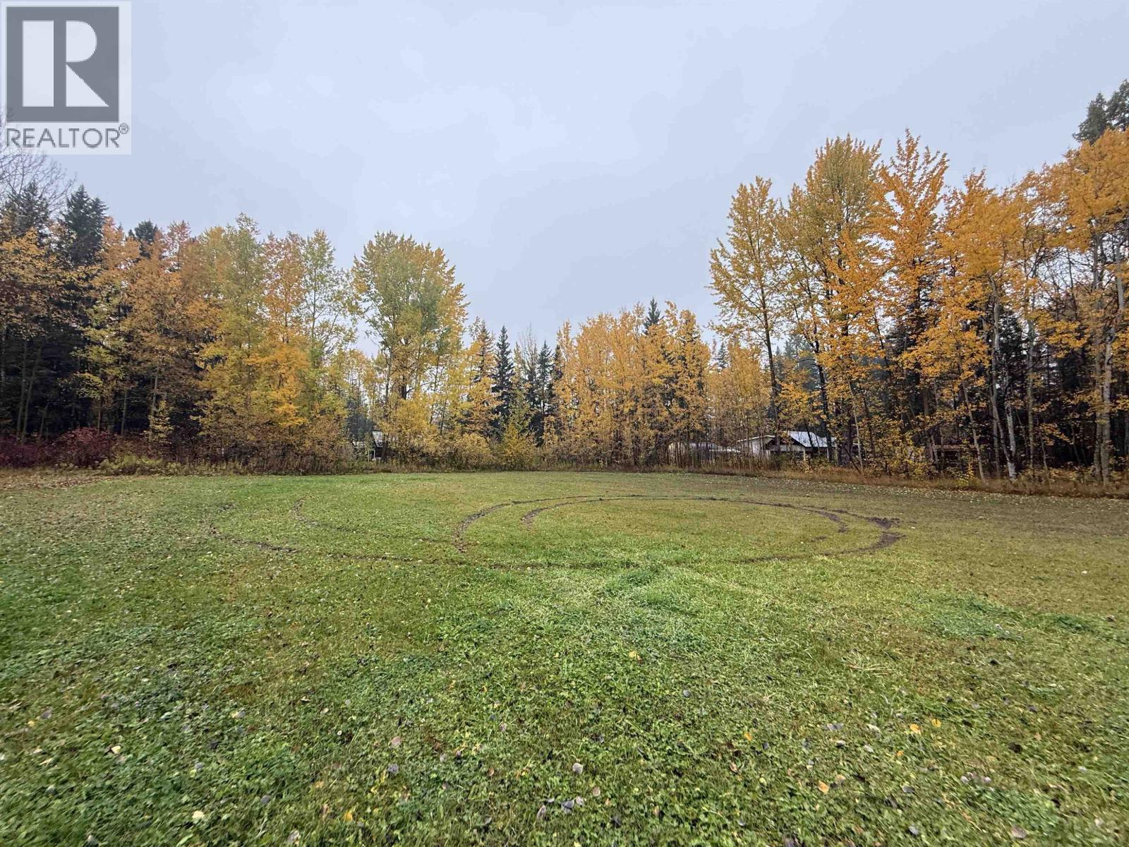 3925 Aird Road Property Photo 38