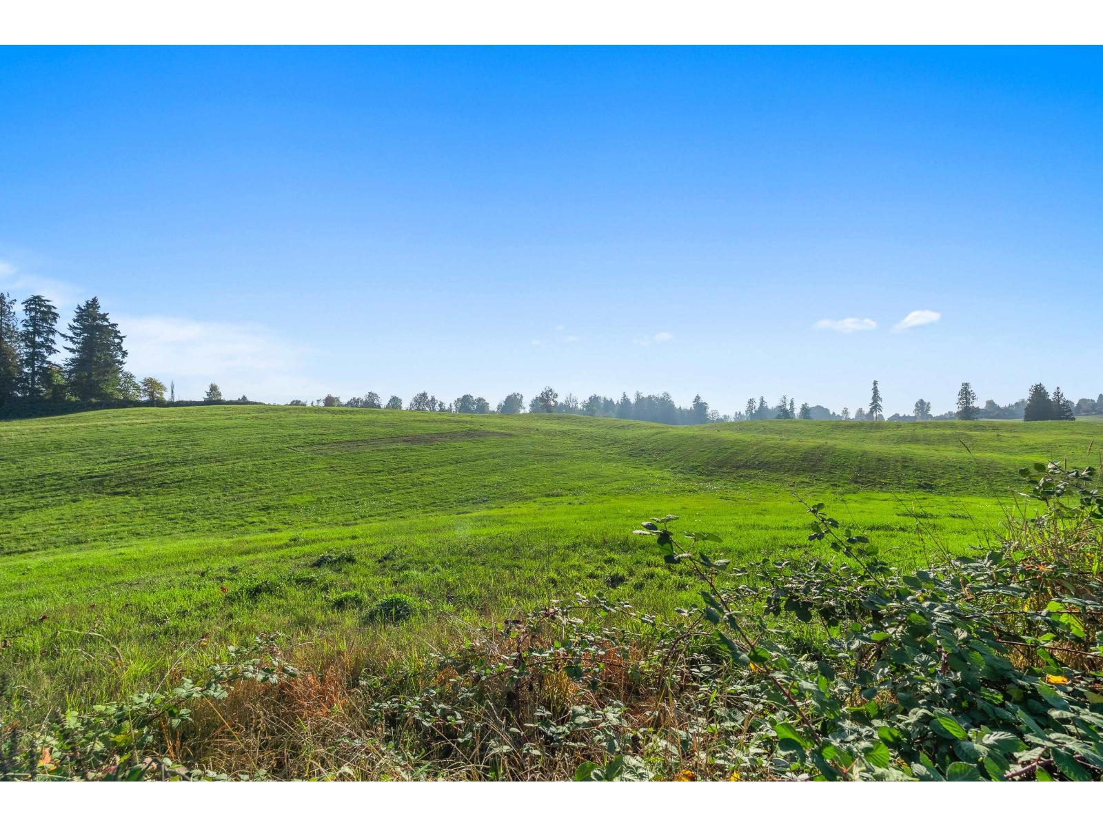 6077 Ross Road Property Photo 31