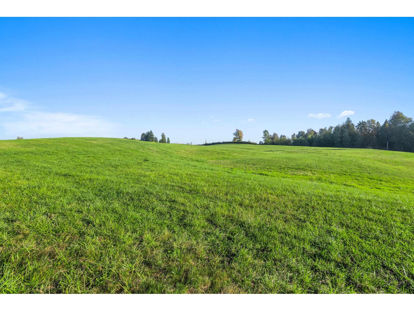 6077 Ross Road Property Photo 38