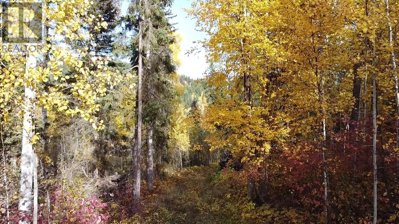 Lot 1 Cottonwood Place Property Photo 10